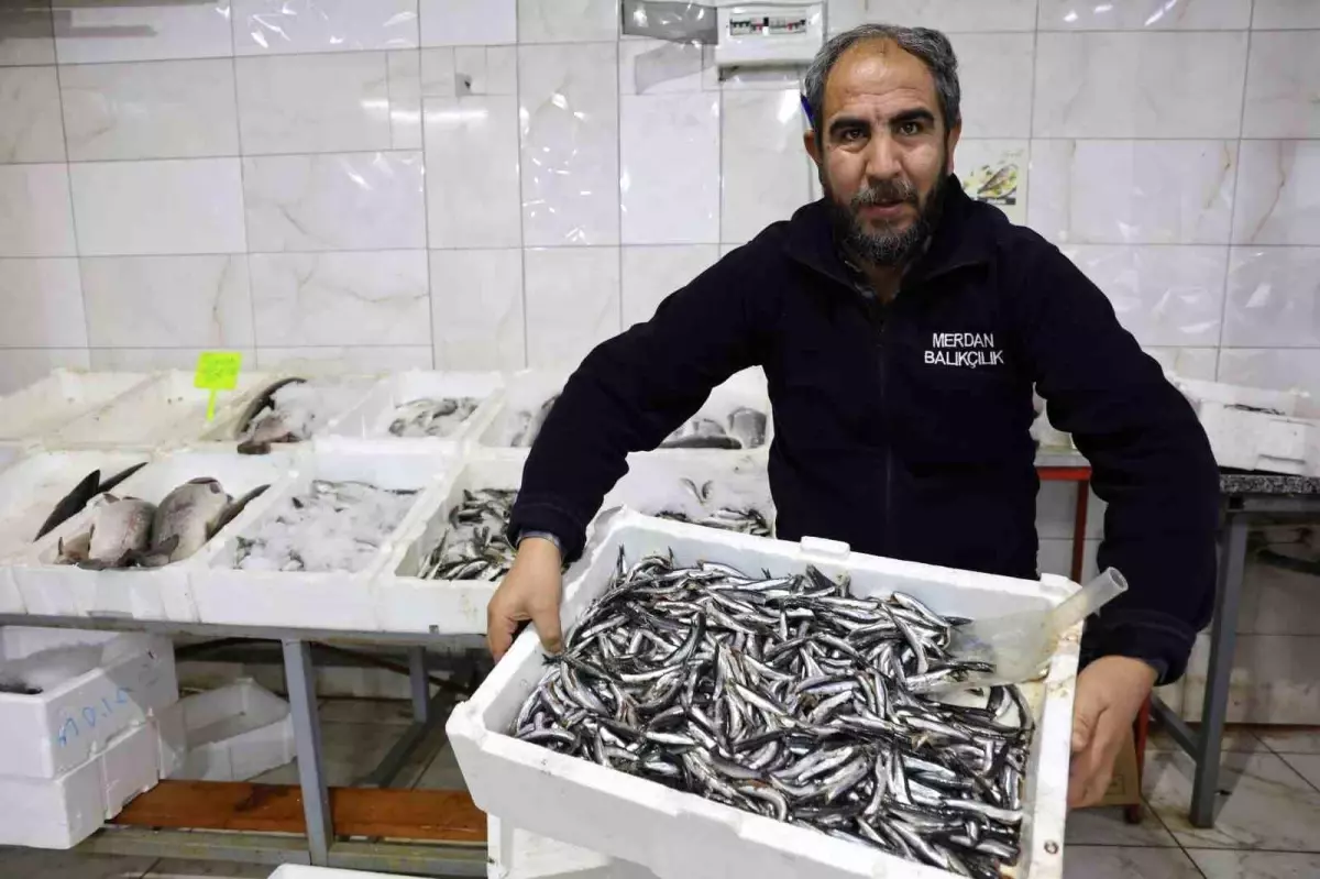 Kahramanmaraş: Tatlı Su Balığı Üretiminin Merkezi