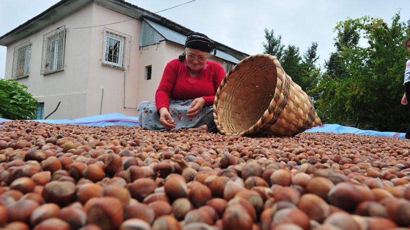 Doğu Karadeniz’de ihracatta yüzde 27 artış