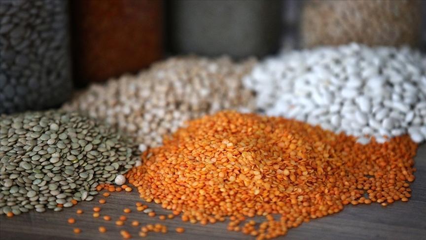 Türkiye’den 11,9 milyar dolarlık hububat ve bakliyat ihracatı yapıldı