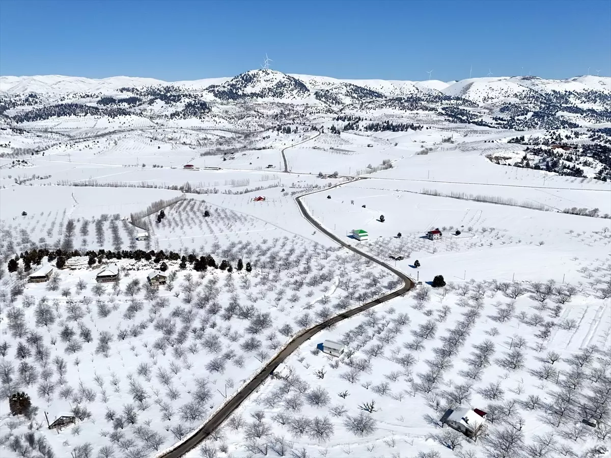 Merk Göleti Buzla Kaplandı