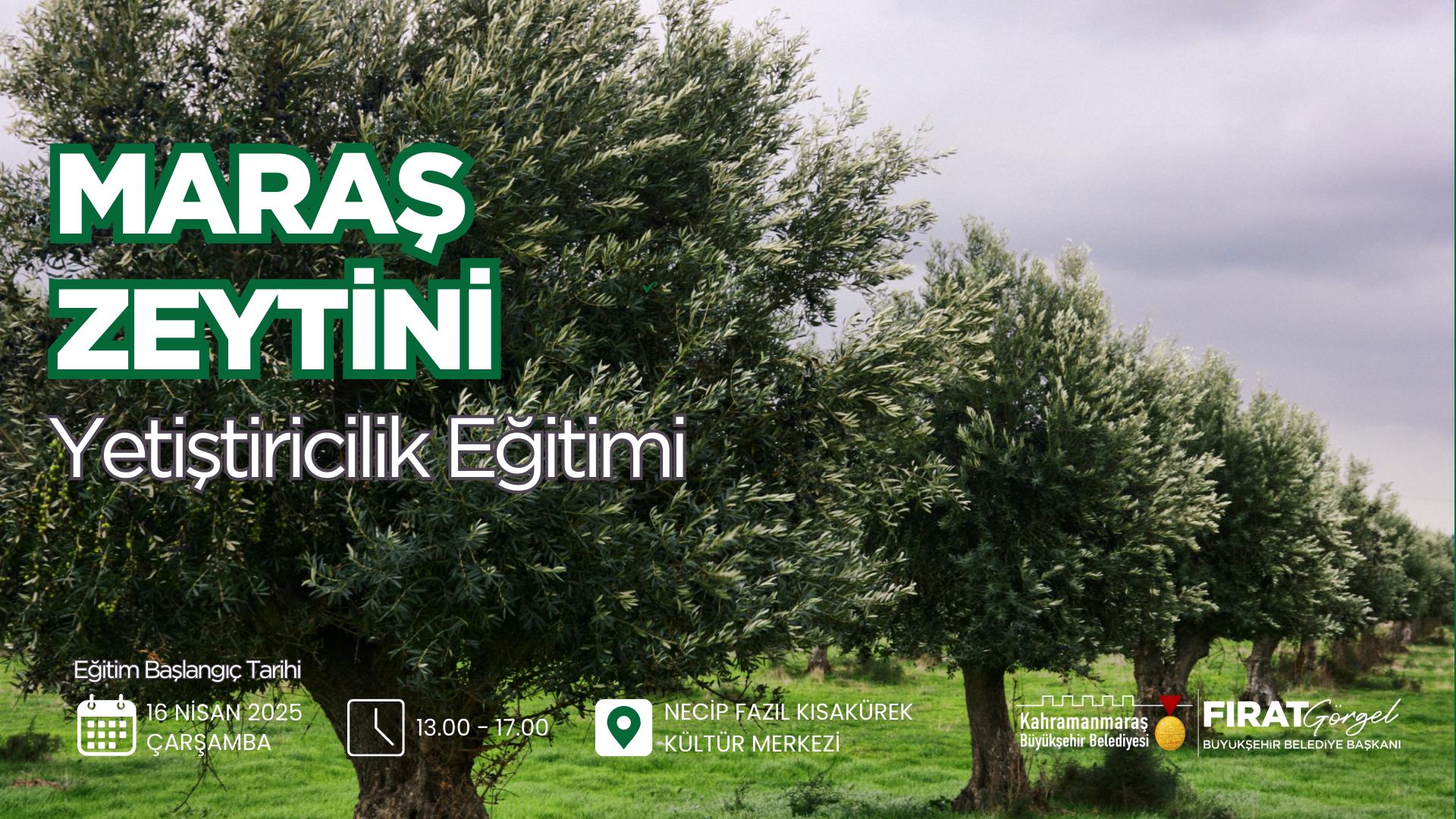 Büyükşehir’den Zeytin Üretimine Katma Değer; Maraş Zeytini Yetiştiriciliği Eğitimi