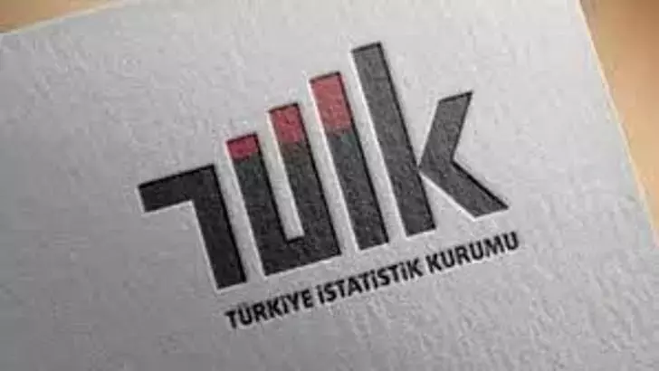 TÜİK: Aylık en yüksek reel getiri külçe altında gerçekleşti
