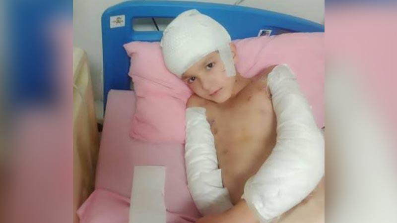 Sokak köpeklerinin saldırdığı Tunahan’ın davasında beraat gerekçesi; Kastla hareket ettiklerine dair delil yok