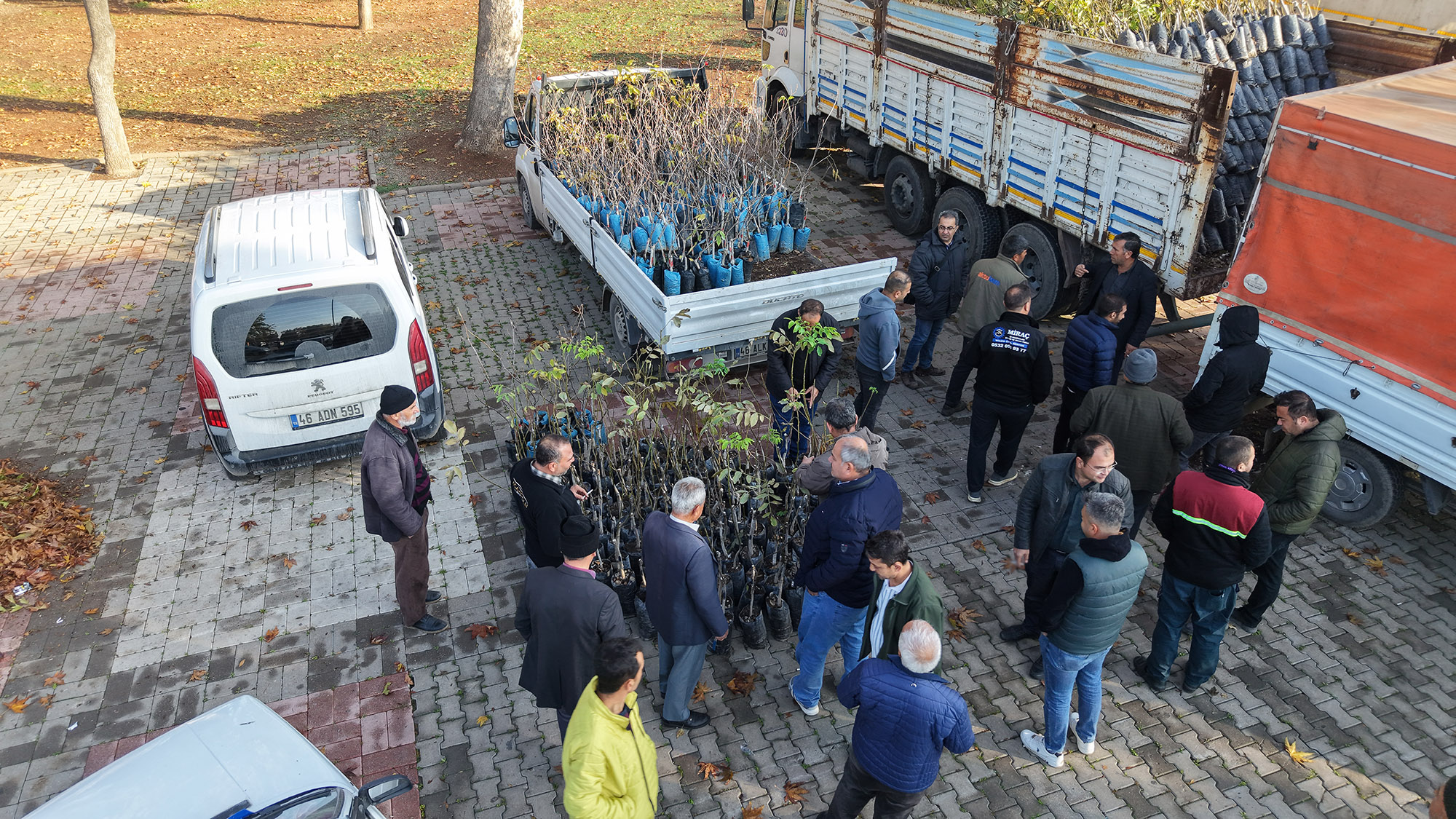 Büyükşehir’den Bin 500 Üreticiye 193 Bin Adet Fidan Desteği