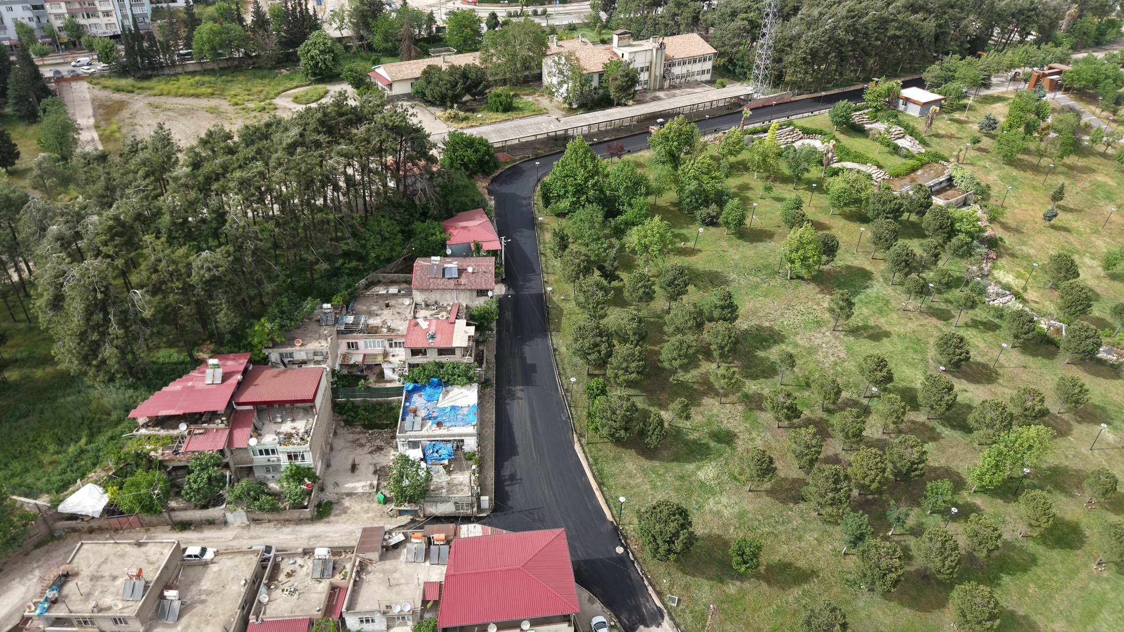 Büyükşehir, Hacı Bayram Veli Mahallesi’nde 31015. Sokak’ı Sıcak Asfaltla Buluşturuyor