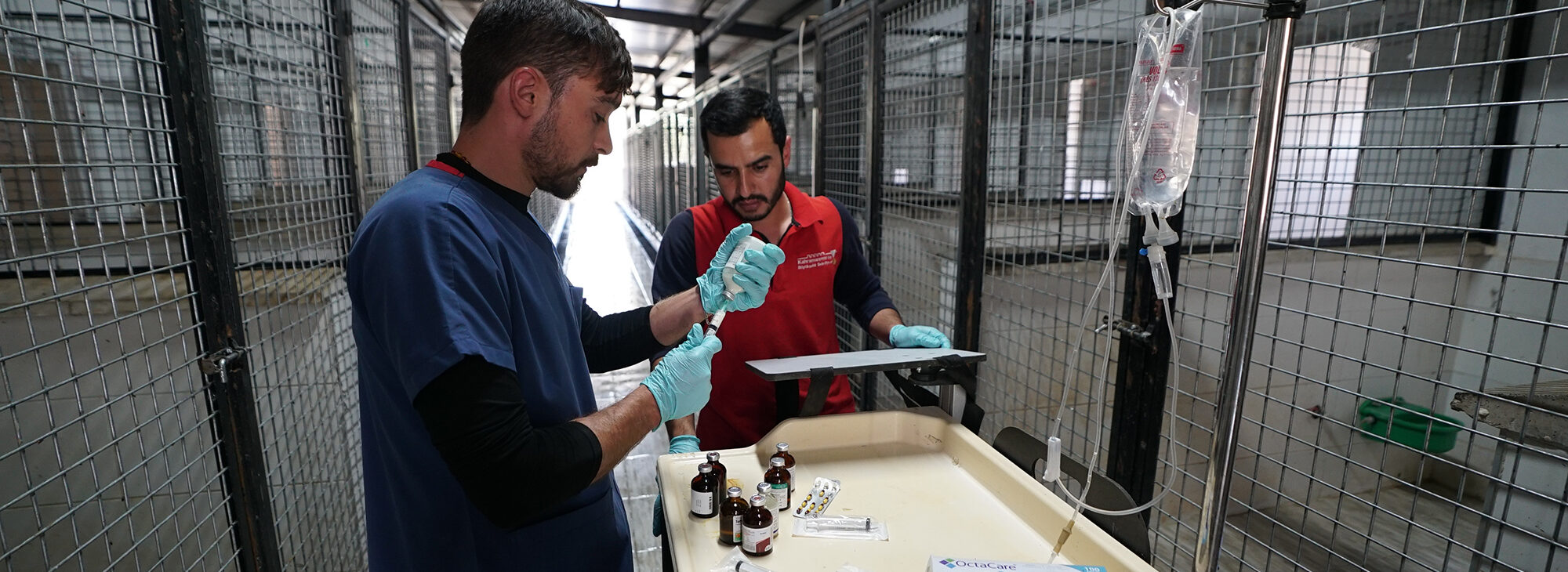 Büyükşehir ve Sahipsiz Hayvanları Koruma Birliği’nden 5 Binin Üzerinde Can Dostuna Güvenli Yaşam Alanı